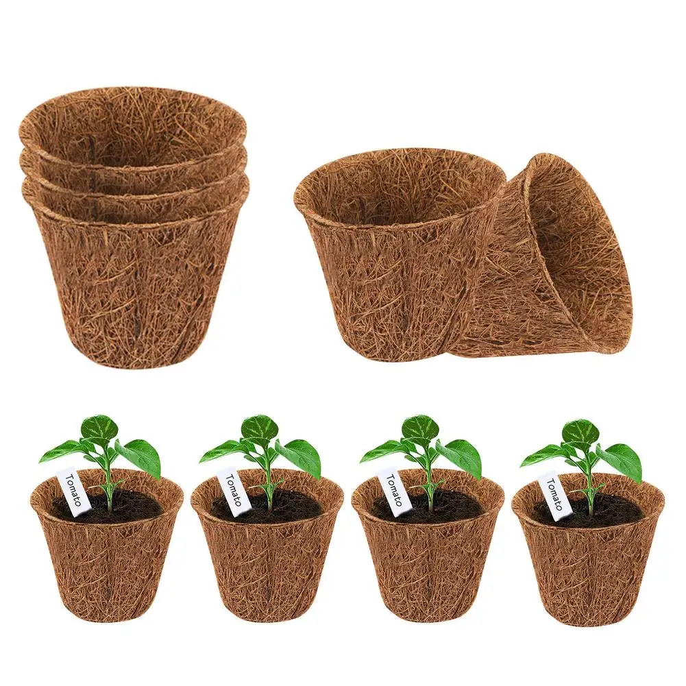 

Кокосовое растение для детской комнаты, натуральные дышащие овощи, цветы, фрукты, саженцы, раковина, подвесной цветок корзина ковер Pad