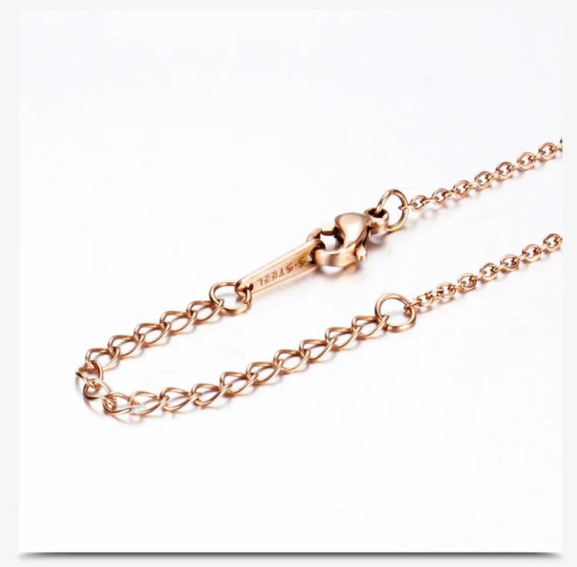 

Mens Womens Rose Gold Rhinestone Roman Numerals Stainless Steel Double Pendant Necklace Commemorative Gift