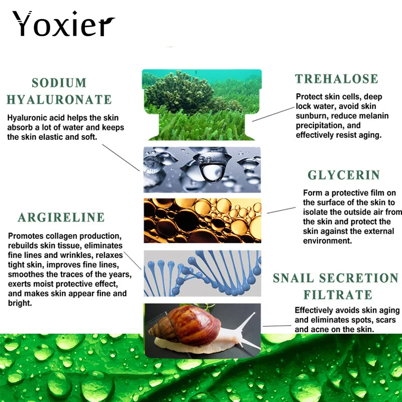 Yoxier лицо улитки сыворотка шесть пептидов против старения морщин укрепляющий