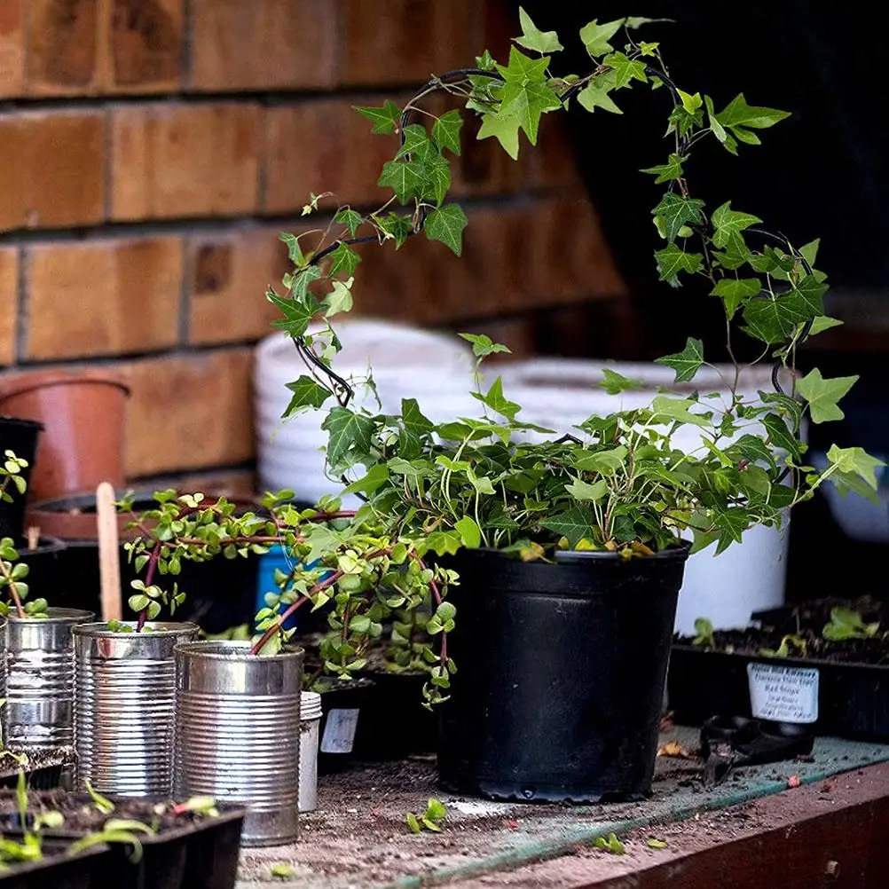 Железная стойка для сада подъема растений 2 шт. самостоятельного выращивания в