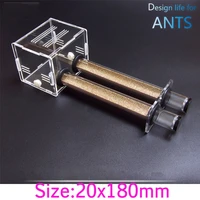 wholesale double test tube concrete ant nest sands edition 20mm slub nest ant bionic nest workshop ant farm