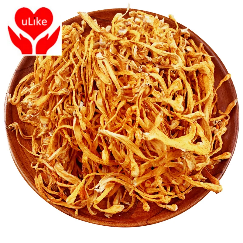 

Cordyceps Militaris/Chong Cao Hua /Cordyceps Herbal Cordyceps Flower
