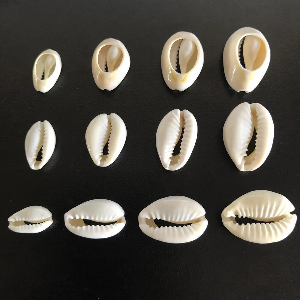

50Pcs Shell Bracelet Beads White Ocean Beads For Jewelry Making Cowrie Cowry Charms Accessories DIY Necklace Bracelet Earrings