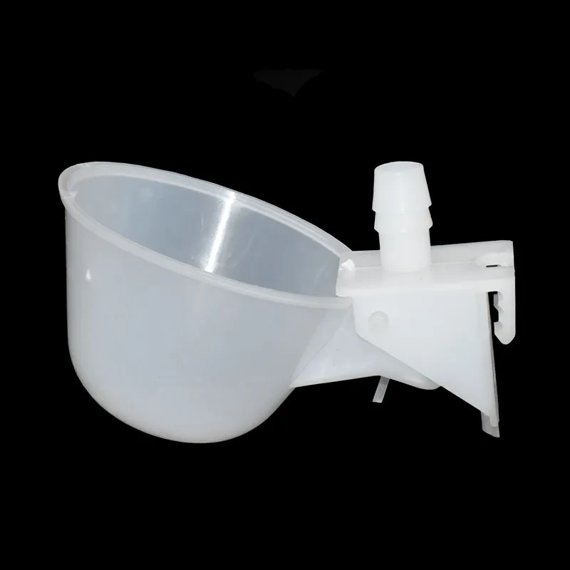 Чаши для перепелок питьевые чаши курицы 100 шт. стеклянные птиц инструменты