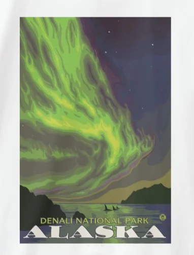 

Alaska Northern Lights and Orcas Men's T-Shirt