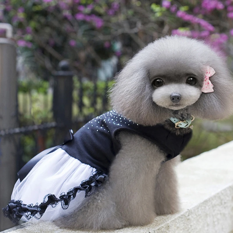 Новое поступление свадебное платье для собаки весенне-летнее Хлопковое кошек и