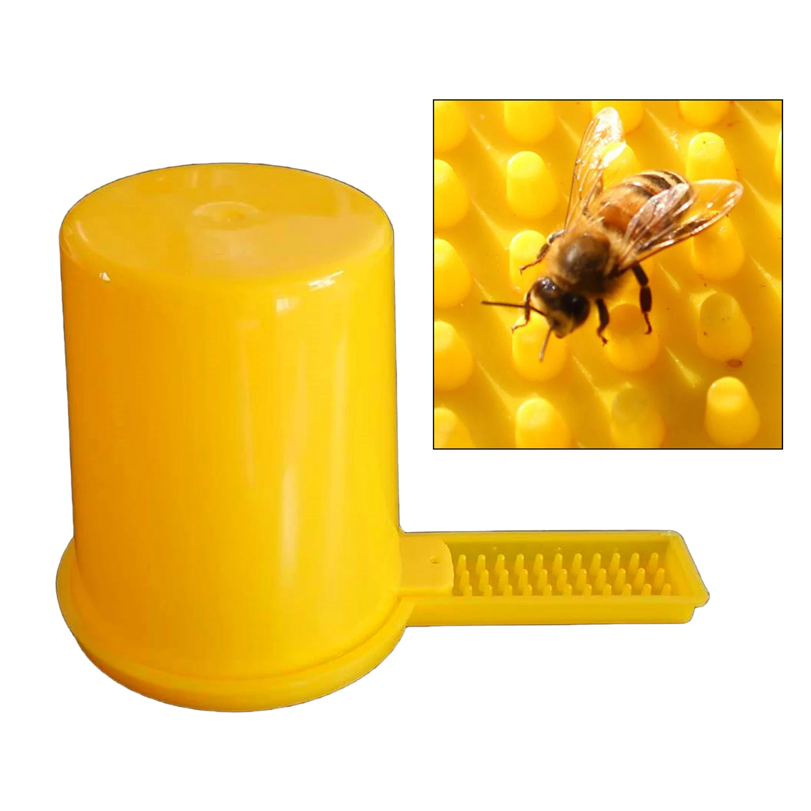 

1PCS Beekeeping Feeder Honey Bee Feeders Drinking Water Waterer Watering Bees Tools Supplies Feeding Drinker Plastic Tool