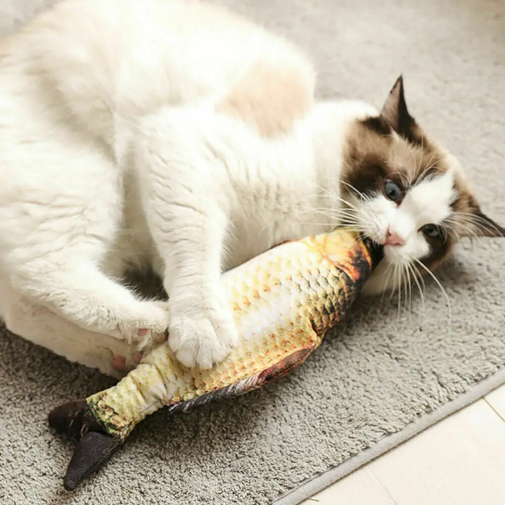 

Electric Moving Cat Kicker Fish Toy Interactive Cat Toy Realistic Flopping Fish & Catnip