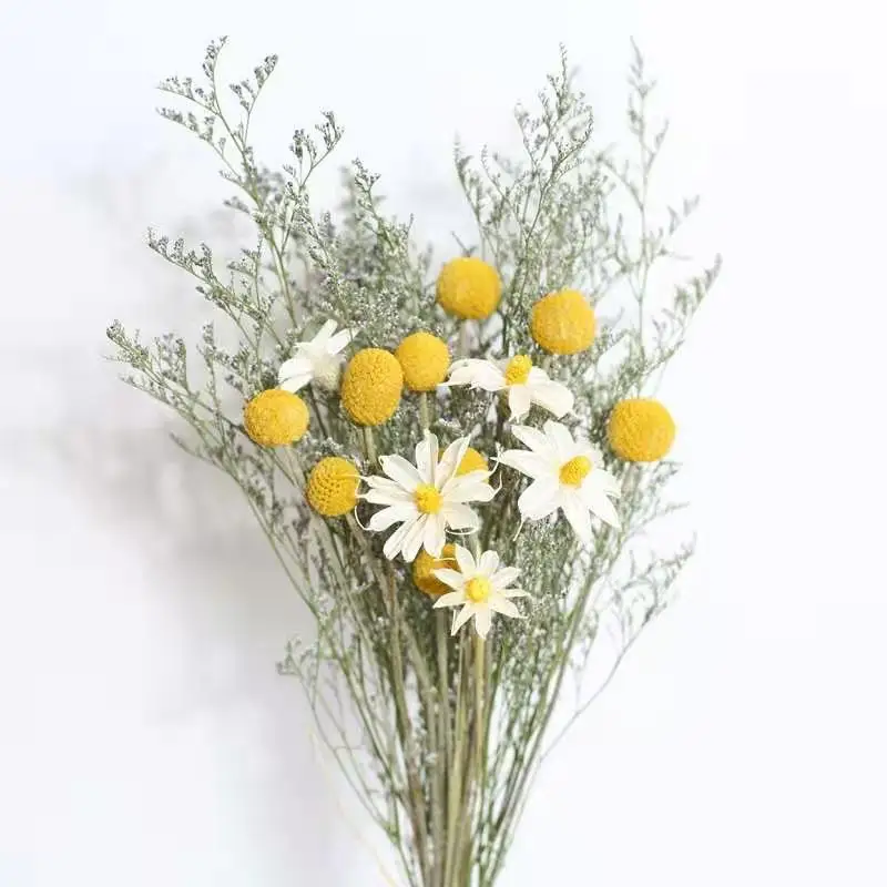 Orchidea Chamomile  Pampas Rabbit Tail Grass Natural Dried Flowers Bouquet Wedding Party Decoration Nordic Style Home Decor