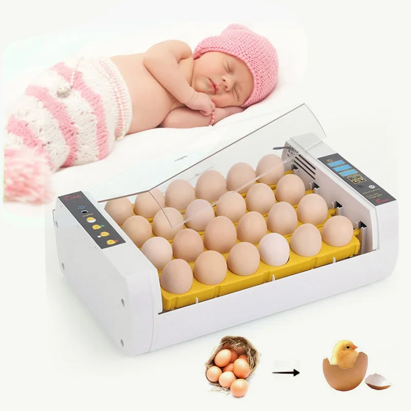 Новые Высокое качество 220 В/24 в пост яичные инкубаторы Бесплатная доставка