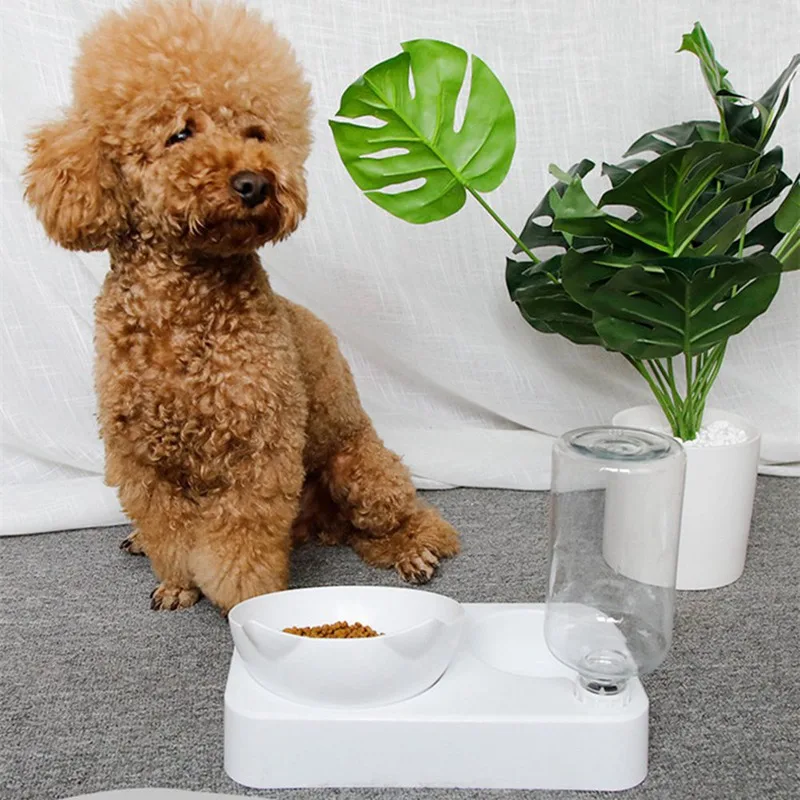 

A Dog Automatic Drinker Cat Drinking Water Pet Neck Protector Drinker Automatic Refill Double Bowl Dog Bowl Cat Bowl