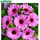 AZQSD алмазная живопись Маргаритка вышивка крестиком Алмазная Вышивка Цветы Mosia полная Дрель Стразы ручной работы 5D DIY домашний декор