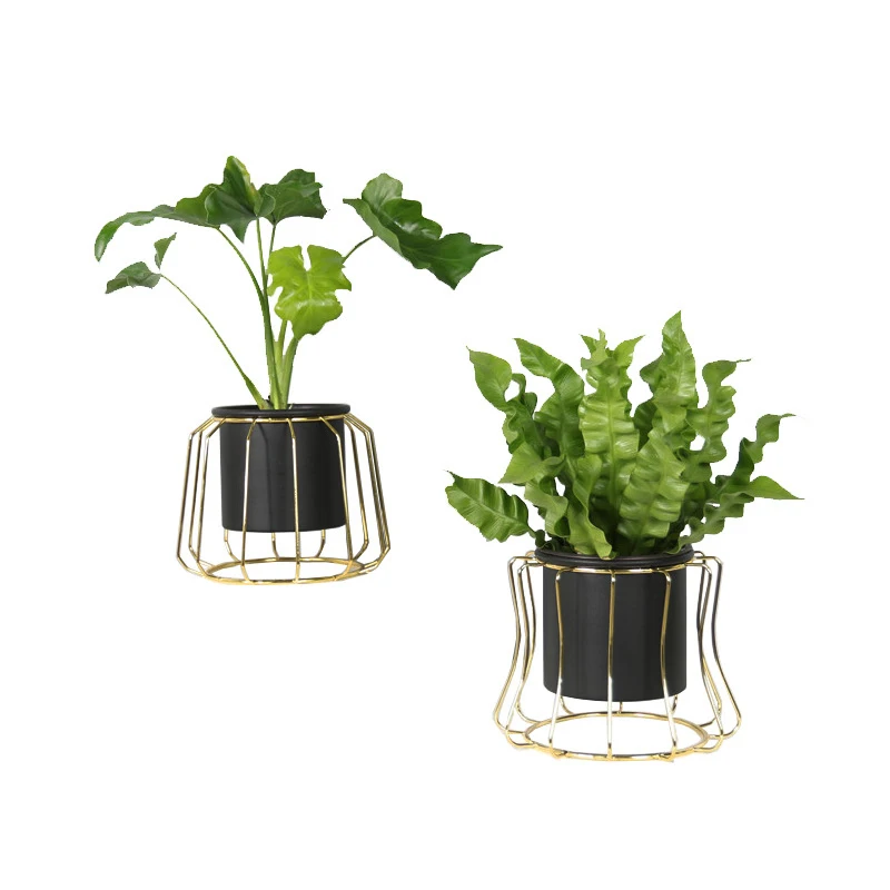 Скандинавский стиль керамические цветочные растения сочный Кактус белый горшок