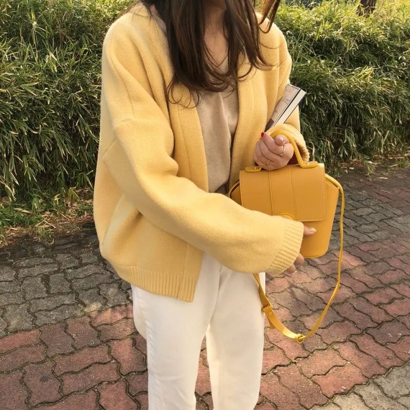 Женские кардиганы 2019 весенний свитер кардиган Повседневный длинный рукав