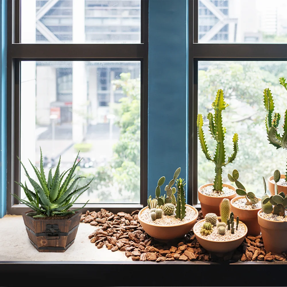 

1Pc Wooden Succulent Plant Pot Creative Bonsai Flower Pot Home Decoration