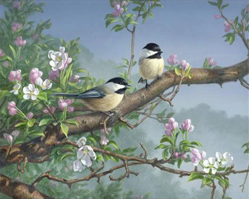 Картина по номерам художественная краска птички Канарские синицы Робин | Дом и