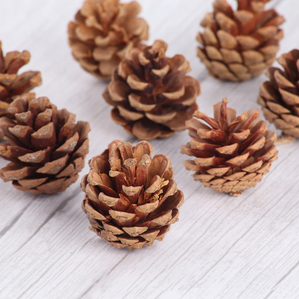 10 шт. натуральные сосновые конусы Pinecone для рождественской елки Декоративная