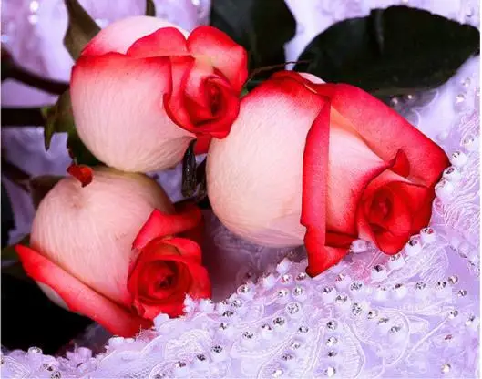 

Diamond Mosaic Flower Rhinestones Pictures DIY Round Diamond Embroidery Flowers Beadwork Full Square Cross Stitch Home Decor