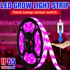 Светодиодная ленсветильник полного спектра для выращивания растений, 0,5 м, 1 м, 2 м, 3 м, USB-лампа для растений, 5 В, освещение для саженцев, светодиодная Водонепроницаемая фитолампа для выращивания цветов