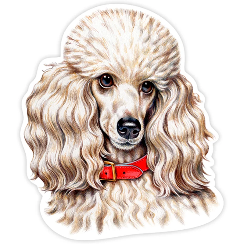 

Various Sizes PVC Decal Poodle Dog Car Sticker Waterproof on Bumper Rear Window Laptop Refrigerator Toilet 13cm*11cm