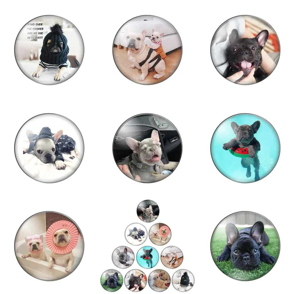 

New Funny Franch Bulldog Cute Animals Round Photo Glass Cabochon Demo Flat Back Making Findings Handmade DIY Accessories
