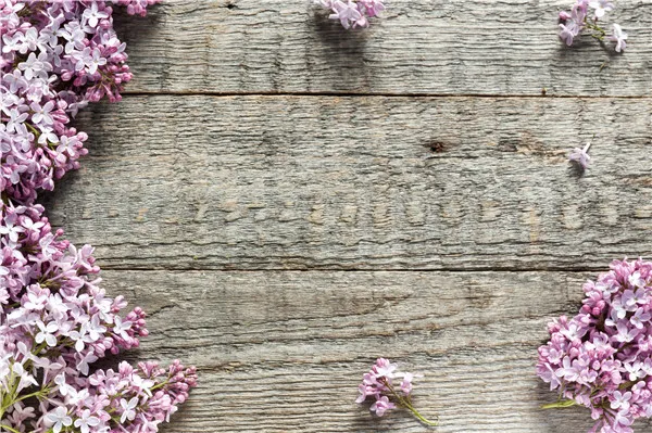 

Vinyl Custom Photography Backdrops Props Board Wood Planks theme Photo Studio Background 20215-29