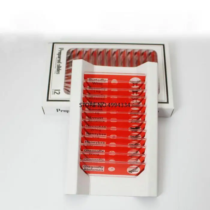 Бесплатная доставка 4 коробки/упаковка/партия пластиковые слайды для микроскопа