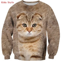scottish fold cat kids sweatshirt 3d printed hoodies pullover boy for girl long sleeve shirts kids funny animal sweatshirt
