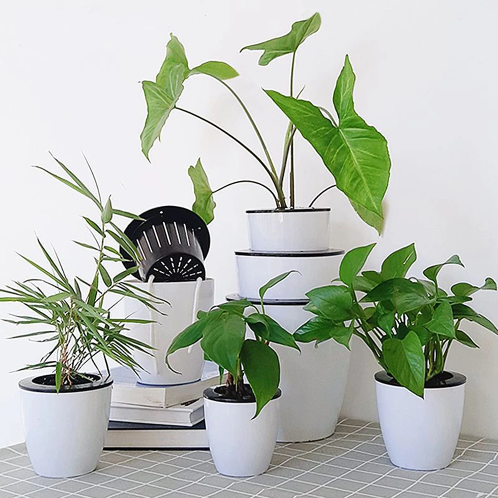 

Настенная подвесная корзина для раковины для воды, держатель для хранения растений, цветочные горшки, автоматическое поглощение воды, цвет...