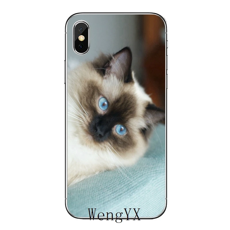 Pet ragdoll кошка синие глаза для huawei mate 20 10 9 P30 P20 P10 P9 pro Lite P Smart plus аксессуары чехол для телефона