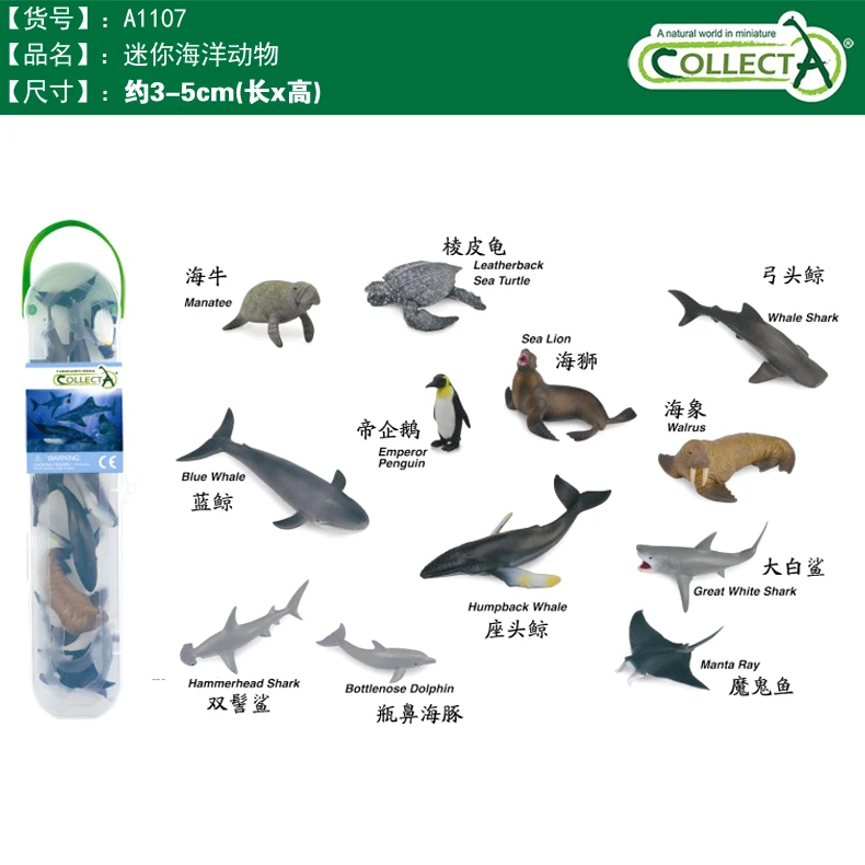 

Collecta I you he simulation wildlife model toy mini box children's cognition