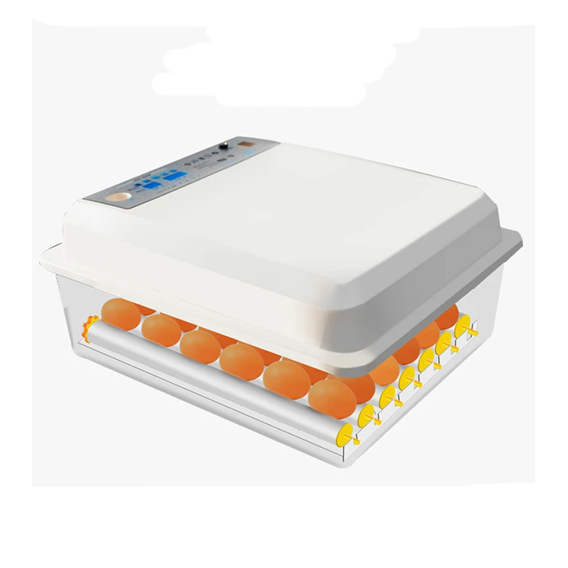 Автоматический интеллектуальный контроль перепелиный попугай точный