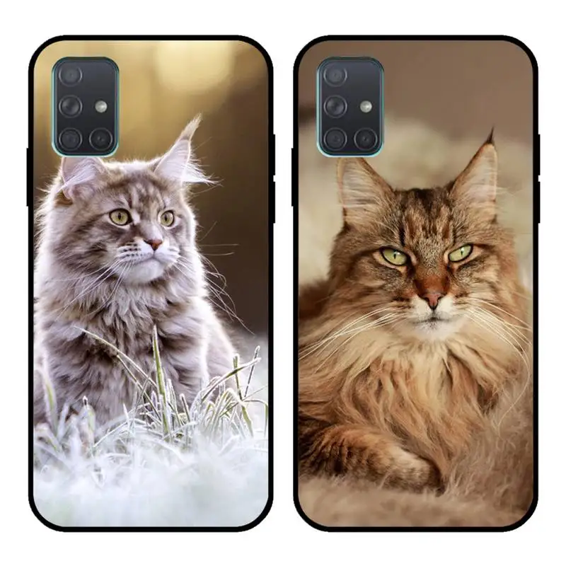 

pet maine coon cat Phone Case For Samsung Galaxy A21S A01 A11 A31 A81 A10 A20E A30 A40 A50 A70 A80 A71 A51