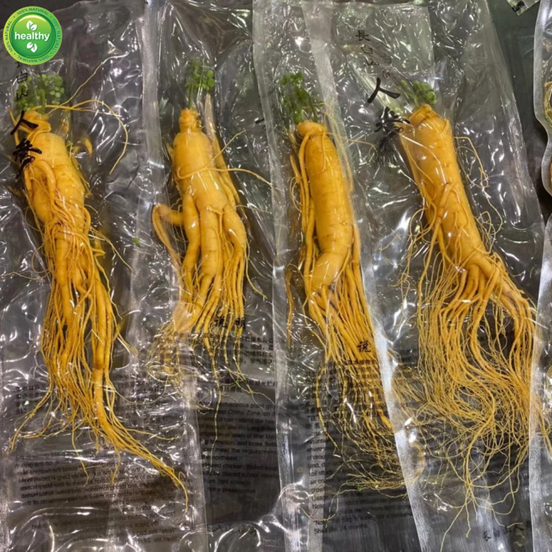 

Fresh Ginseng Root Changbai Top Grade Ginseng
