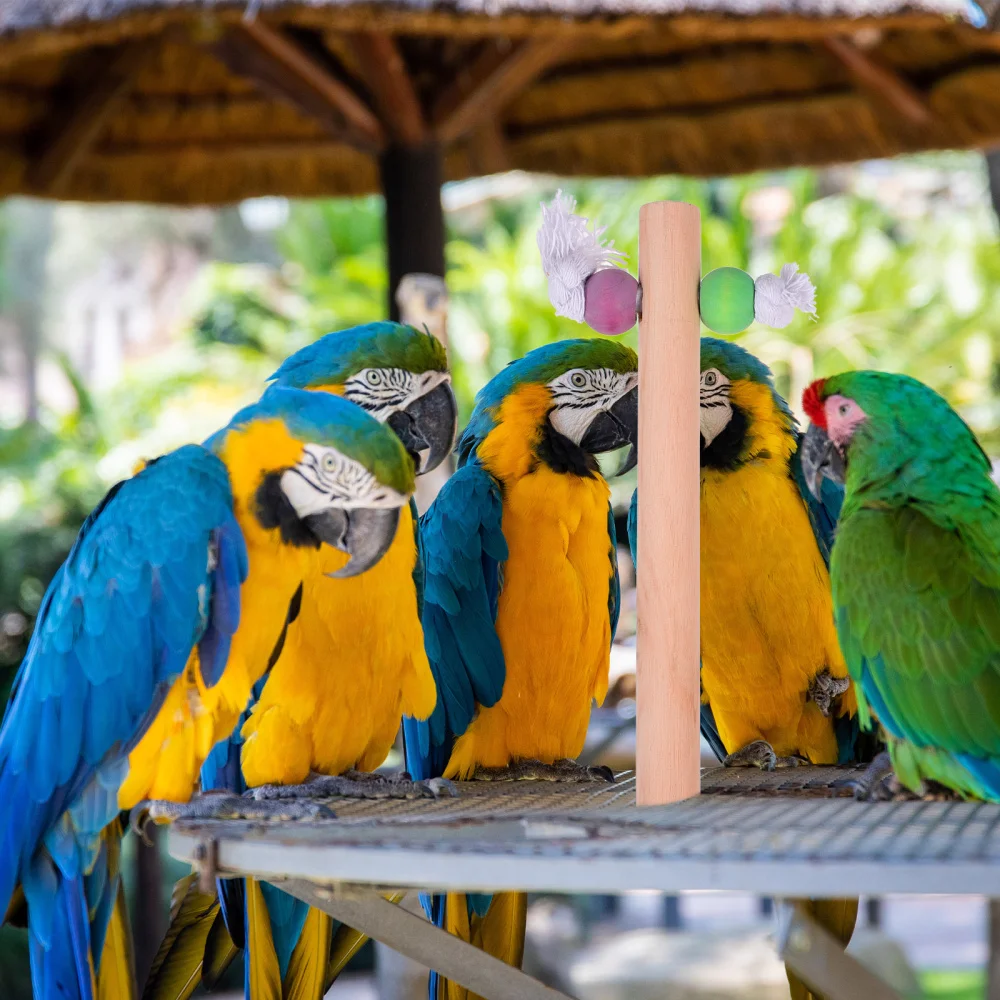 

1 Set Pet Bird Parrot Swing Chewing Toys Stand Perch Ladder Plaything