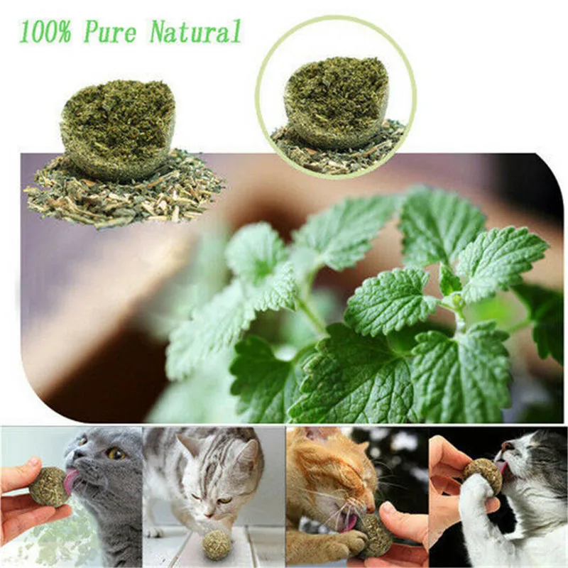 Новинка 1 предмет естественного здоровья мяч С Кошачьей Мятой Cat трава для