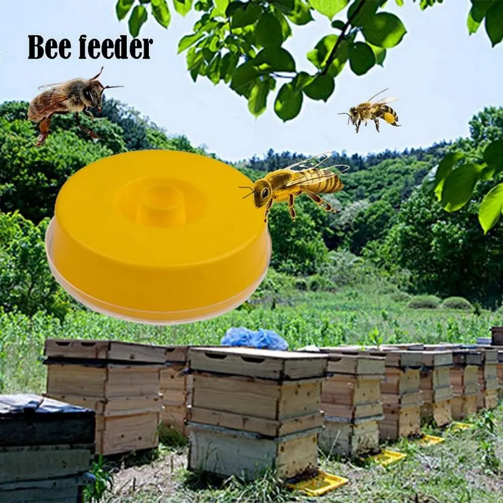 

Диск для пчеловодства, пластмассовая подходящая подача воды, Круглый улей, верхний улей, питьевое питание, устройство для пчеловодства