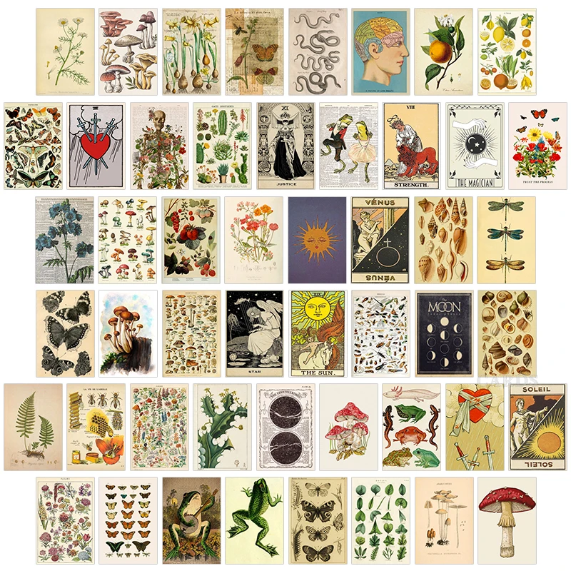 Kit de arte Vintage para decoración de dormitorio, carteles artísticos con ilustración de Flora y Fauna de insectos, arte de Tarot, 50 Uds.