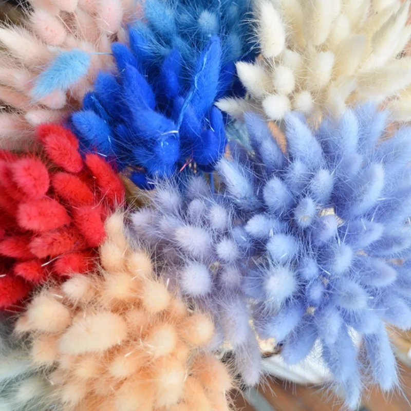 60 шт. трава с кроличьим хвостом Натуральные сушеные цветы для украшения дома