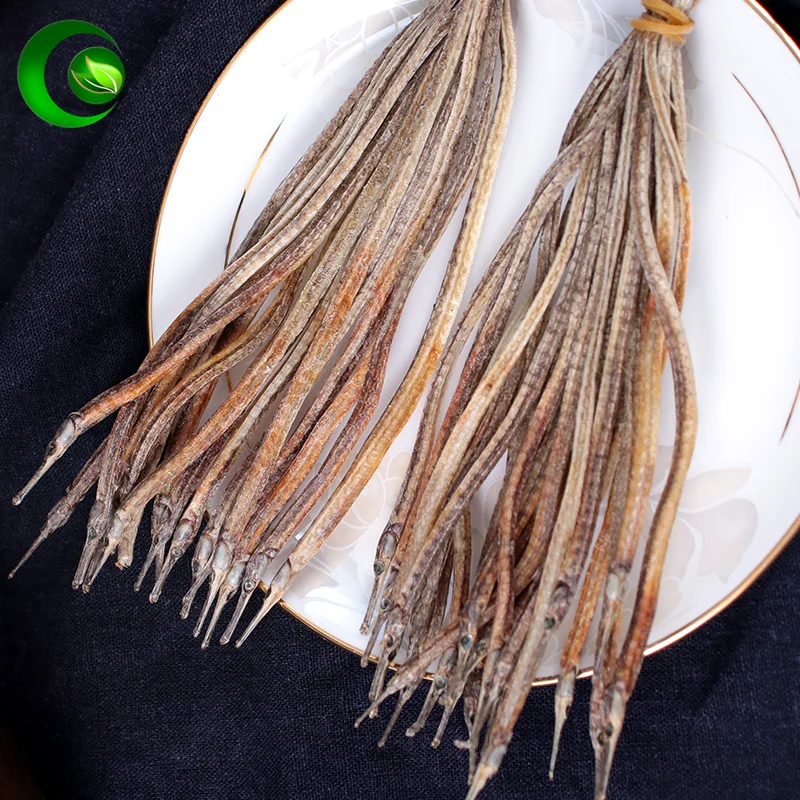 

Syngnathus dahalong Real Syngnathus Great Kanon Sea Dragon Iorg Seadragon Pipe-fish