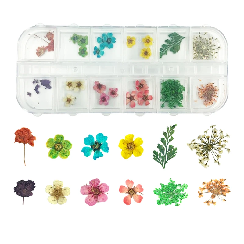 

1 Set 12 Patterns 3D Dry Flowers Stickers Real Dried Flower Nail Art Decoration Tips DIY Manicure Tools with Box