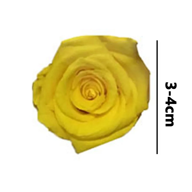 10 шт./кор. Сохраненная неувядающая Роза чудовище вечная роза неувядающий цветок