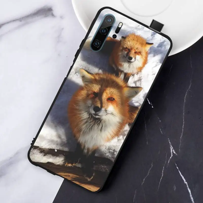 

Animal Raccoon Fox fashion Phone Case For Huawei honor Mate P 10 20 30 40 Pro 10i 9 10 20 8 x Lite