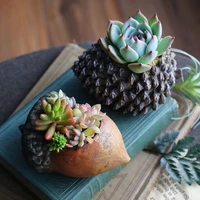 pinecone shape concrete flowerpot silicone mold cute nut plaster home decor mini pot cement succulent plants planter mould