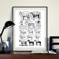 art canvas painting horse print black and white veterinary medical poster horse anatomy illustration wall art picture wall decor