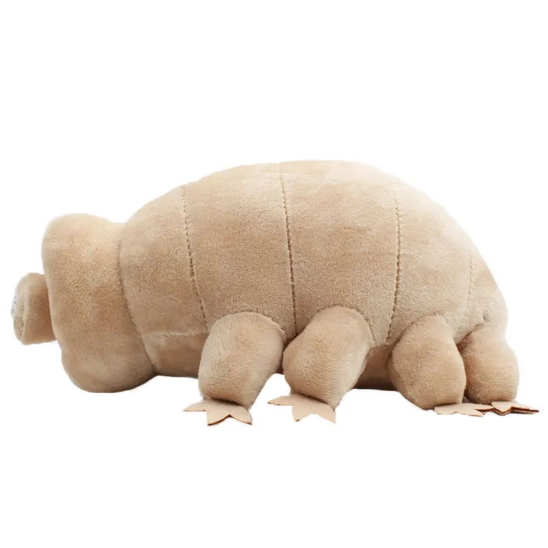 

Плюшевый медведь, 25 см, милая плюшевая игрушка традиционного класса, мягкая игрушка-Зверюшка, развивающая игрушка, рождественские подарки для детей на день рождения