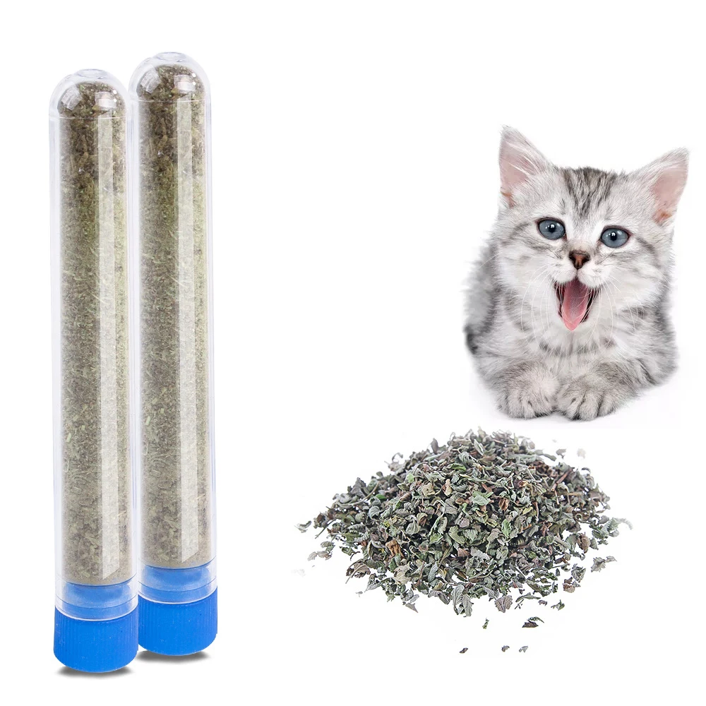 

100% Natural Catnip Cat Toys Menthol Flavor Clean Teeth Healthy Care Funny Cat Catmint Toys Organic Premium Catnip Cattle Grass