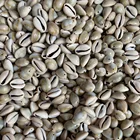 Натуральные маленькие подвески в виде ракушек изысканные бусины в виде морской улитки для изготовления ювелирных изделий ожерелье браслет подарок украшение для океана