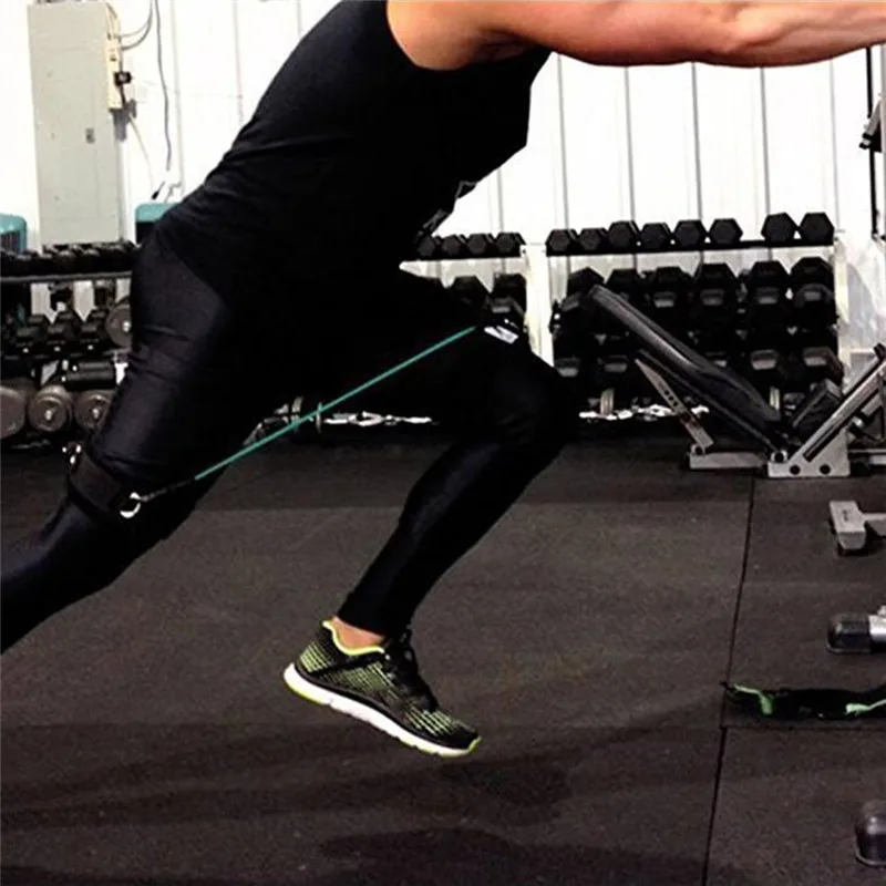 

Fitness & Body Building