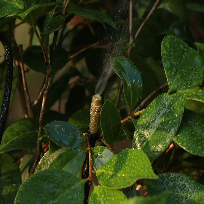 

DIY 10M 20m 30m pce Automatic Watering Irrigation Spike Garden Plans Garden Watering System Drip Irrigation Dripping Irrigation